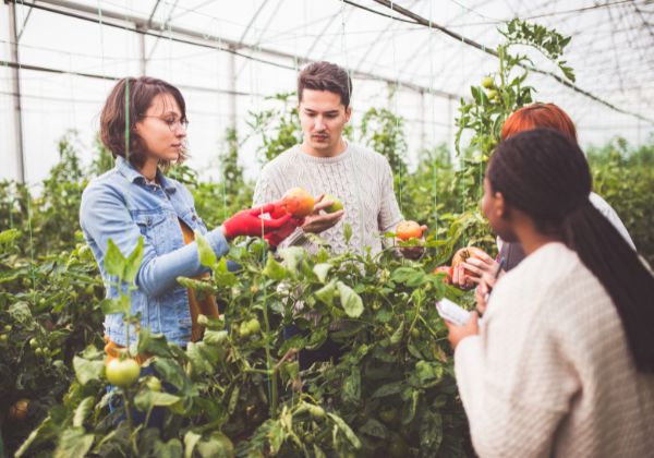 Bachelor of Agricultural Engineering